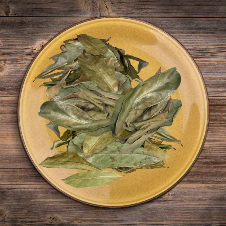 Soursop Leaves Dried-3
