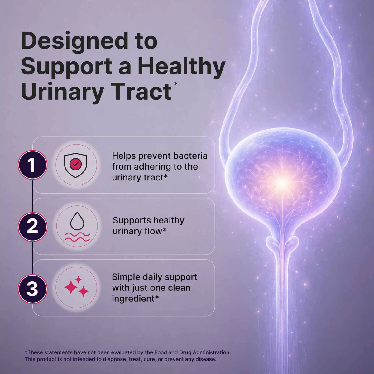 Urinary Tract Wellness D-Mannose Powder-3
