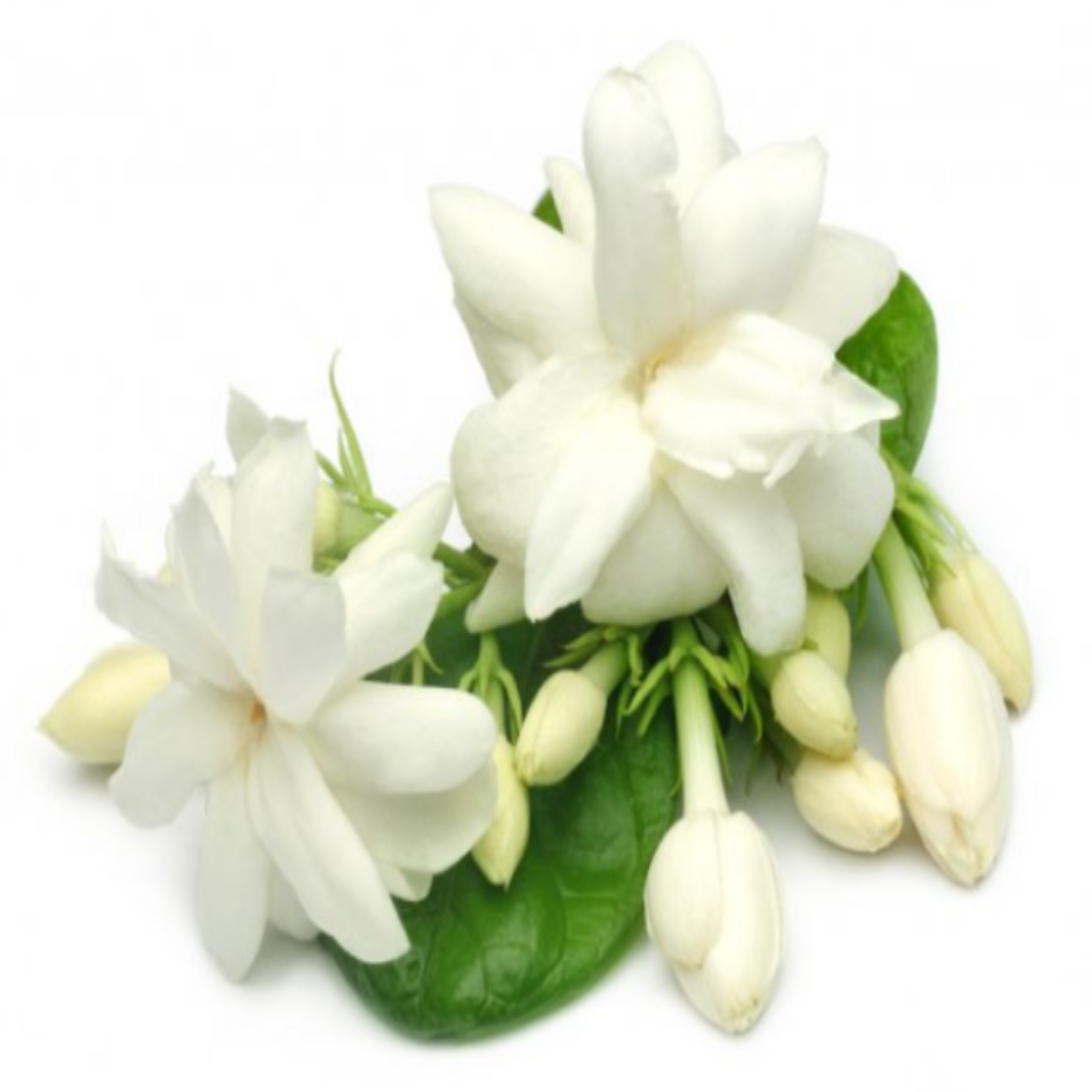 ORGANIC DEODORANT- JASMINE FRAGRANCE - FOR WOMEN-4