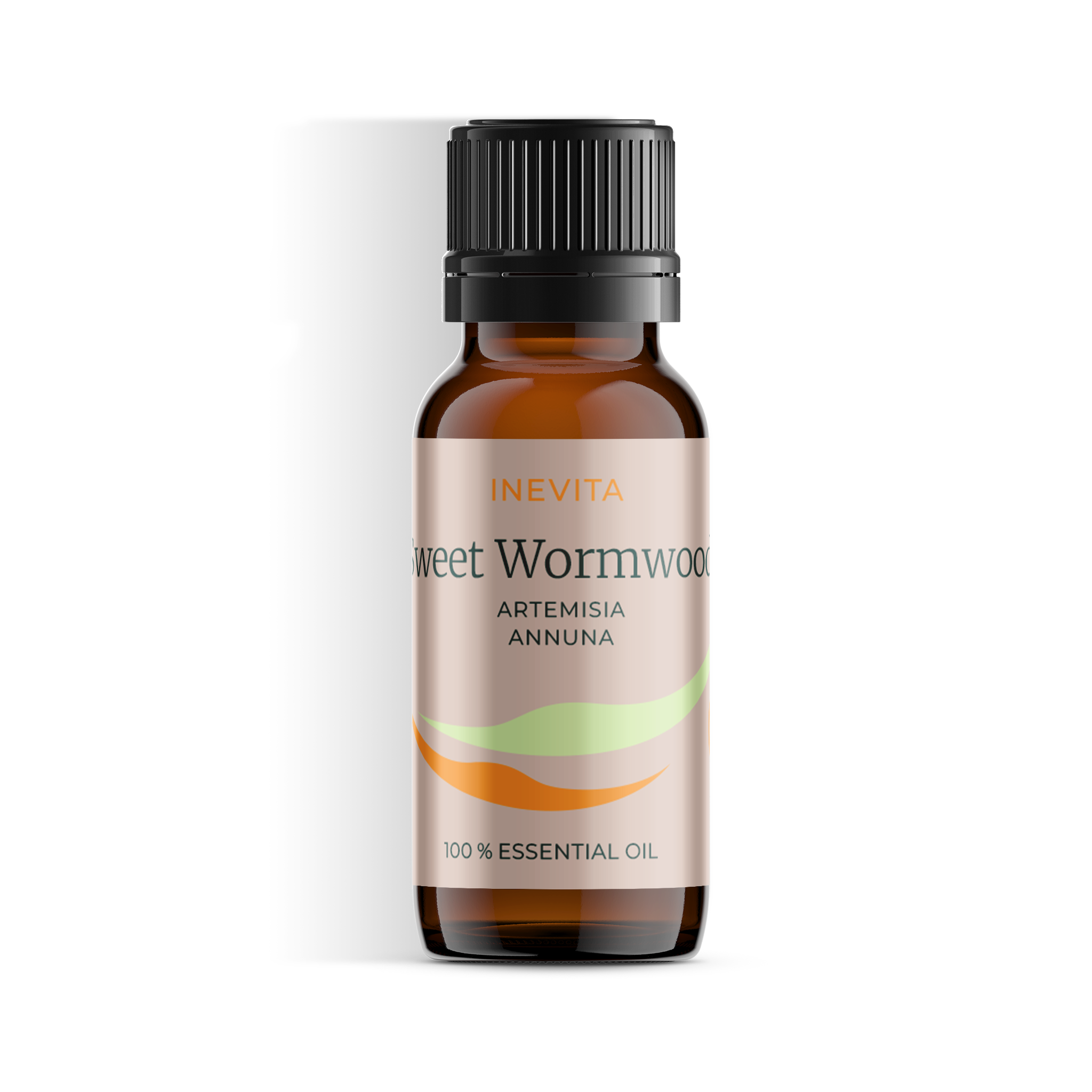 Sweet wormwood-0